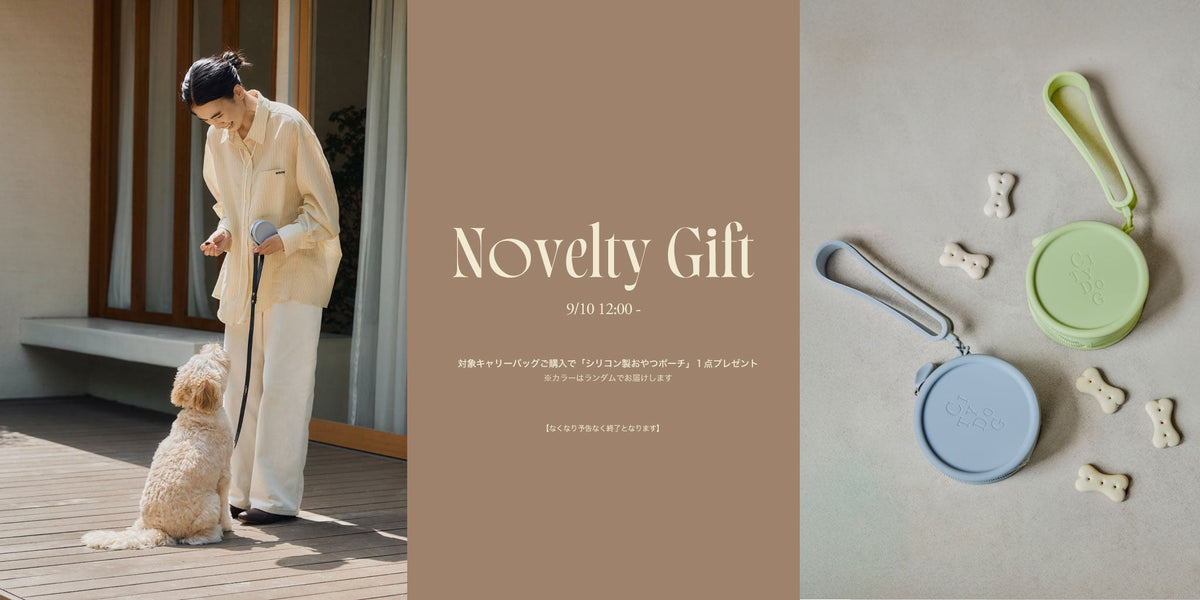 CARRY - Novelty キャンペーン – CITYDOG