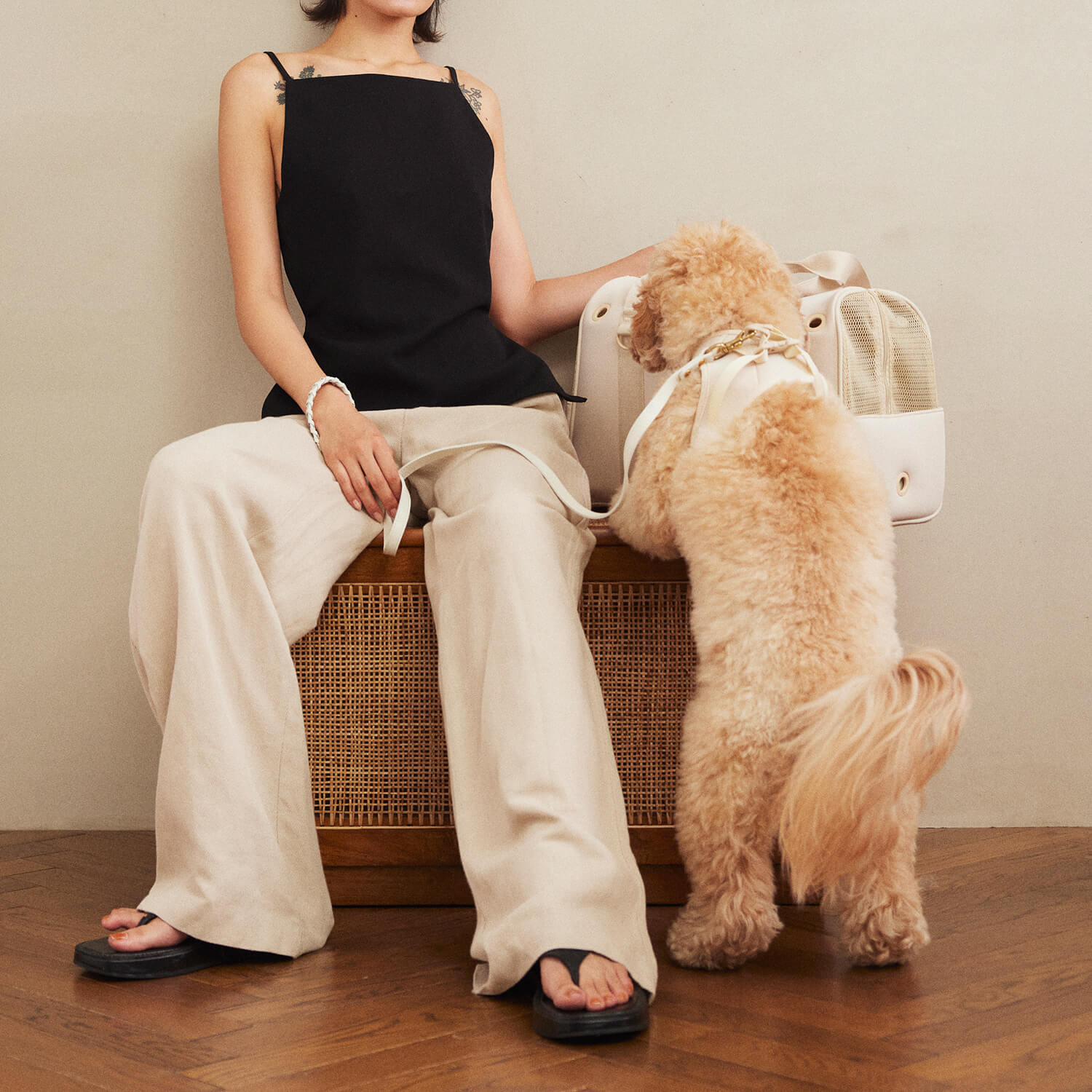 犬用 ネオプレーンボストンキャリー CITYDOG(シティドッグ) NEOPRENE