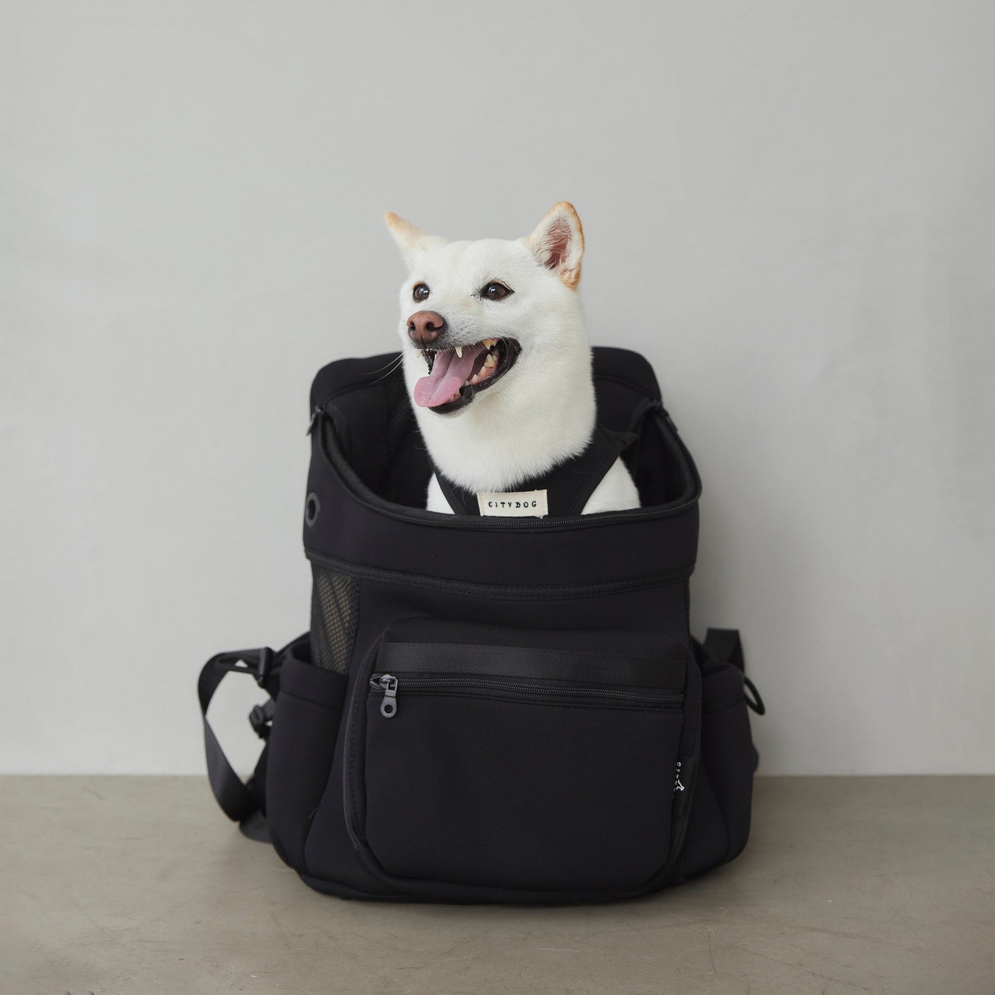 citydog シティバックパック キャリー - 犬用品