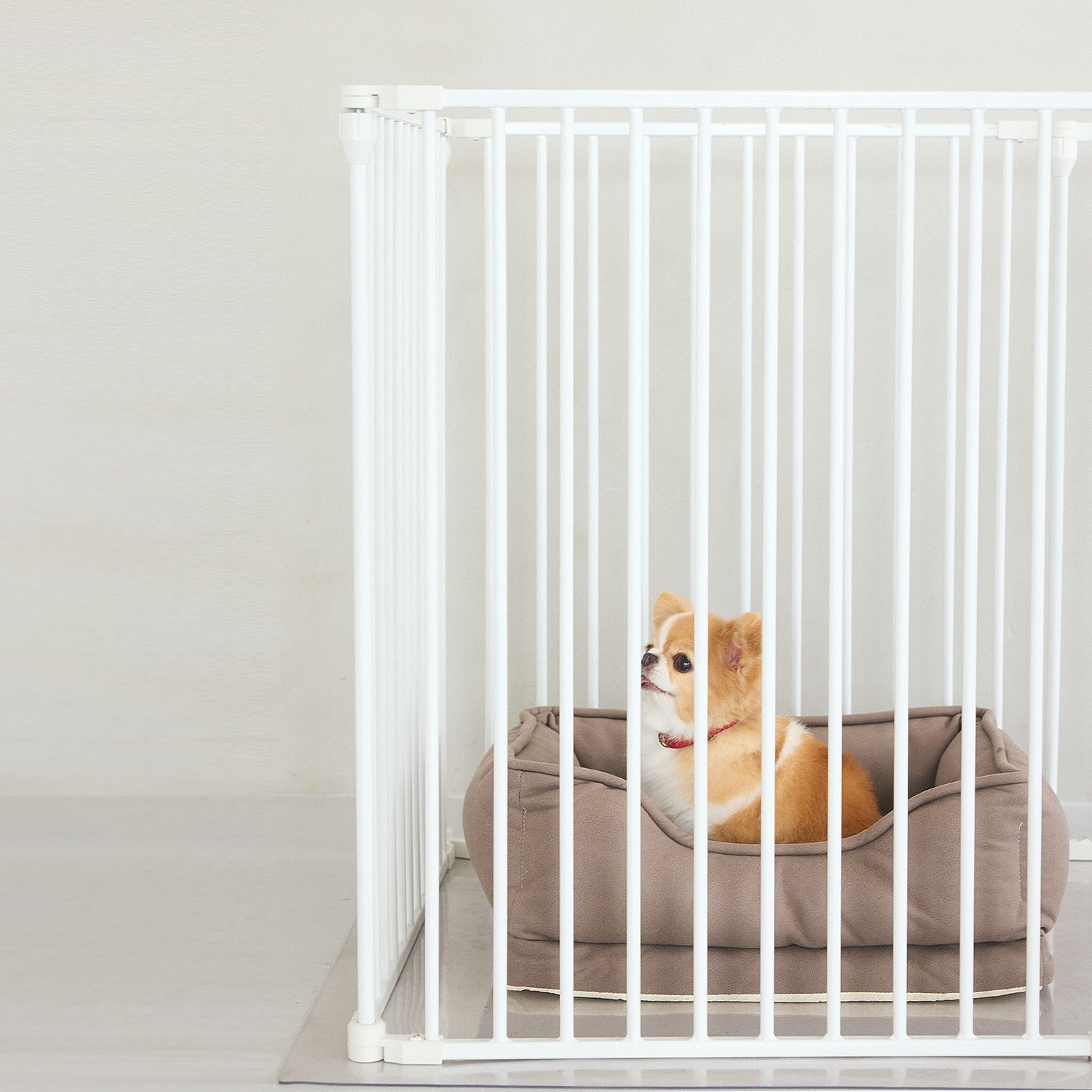 犬用 ケージ ペットサークル CITYDOG(シティドッグ) SHORT PITCH CAGE