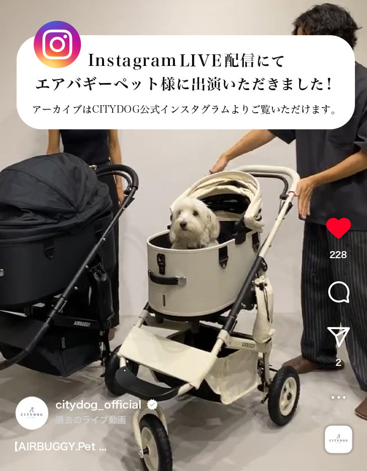 airbuggy_live_2048x.jpg?v=