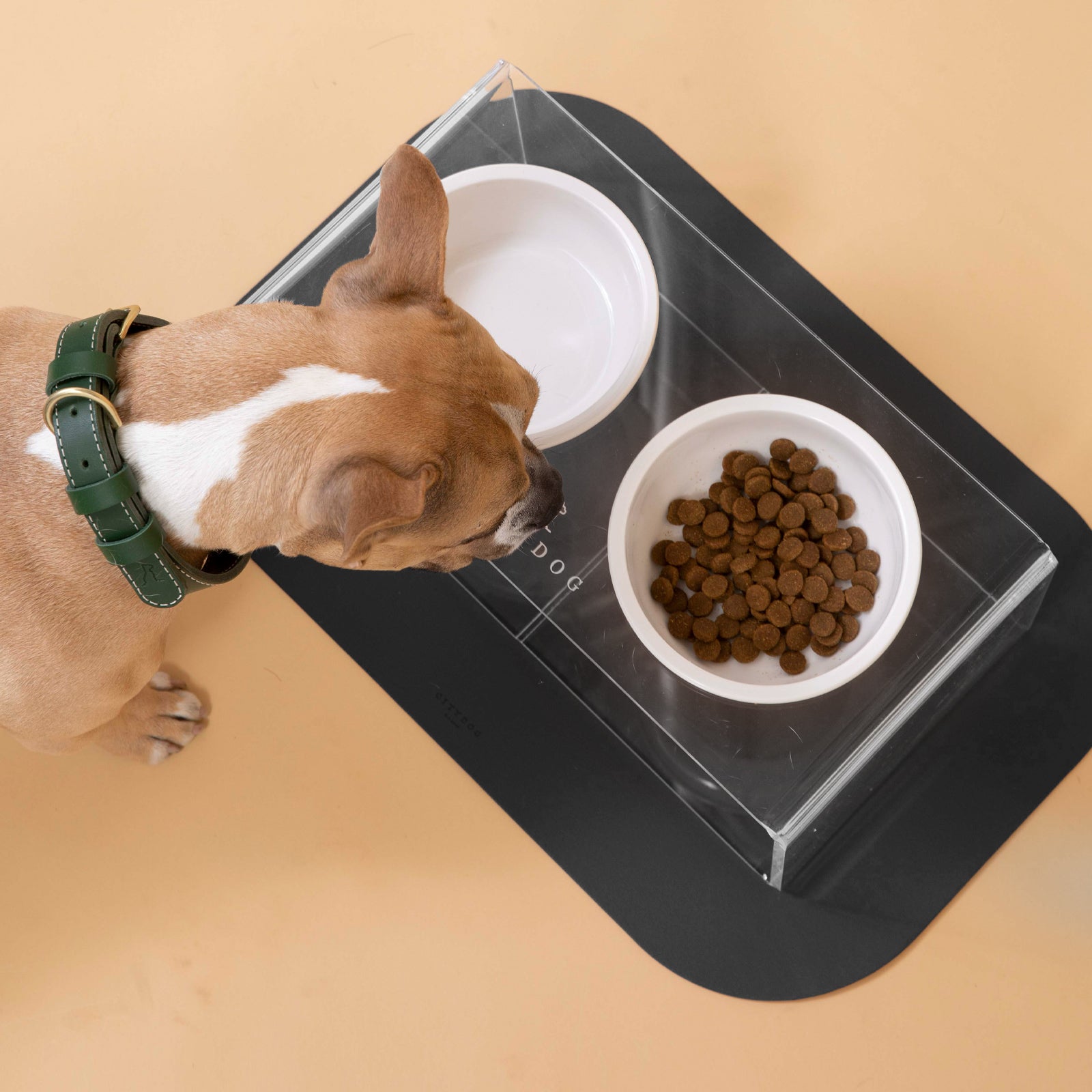 大型犬用 エサ皿 エサ入れ CITYDOG(シティドッグ) ACRYL FOOD STAND L