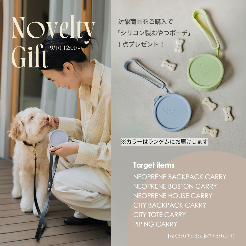 CITYDOG アイスグレー キャリーバッグ Sサイズ 犬用 ネオプレーンボストンキャリー CITYDOG(シティドッグ