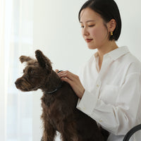 【 DEAN ＆ DELUCA ｜ CITY DOG 】レザーカラー