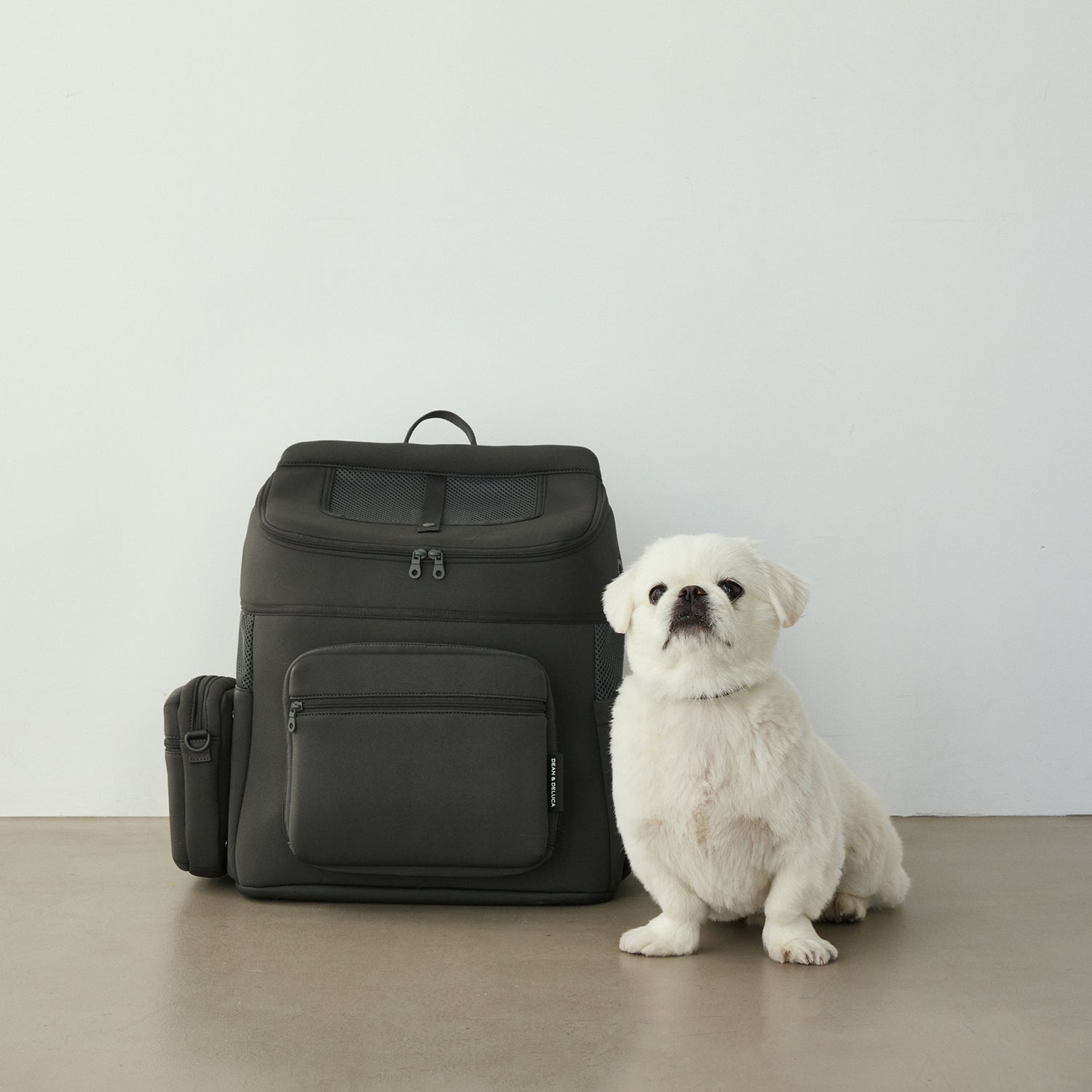 DEAN & DELUCA バックパックキャリー Mグレー DEAN ＆ DELUCA｜CITY DOG バックパックキャリー L| DEAN