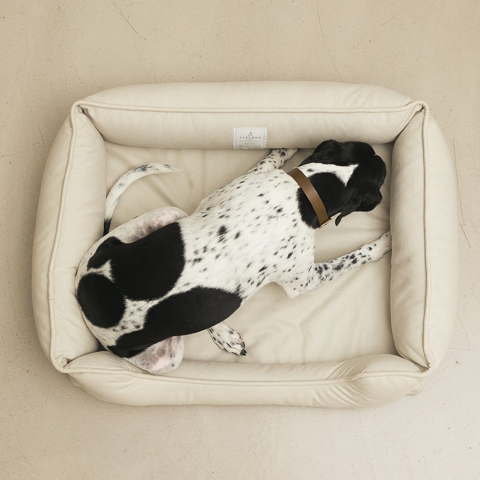 CITYDOG ラウンジベッド　トーンホワイト Sサイズ 犬用ベッド 犬用 ベッド CITYDOG(シティドッグ) LOUNGE BED