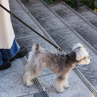 【 DEAN ＆ DELUCA ｜ CITY DOG 】レザーリード