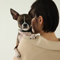 【 DEAN ＆ DELUCA ｜ CITY DOG 】レザーカラー
