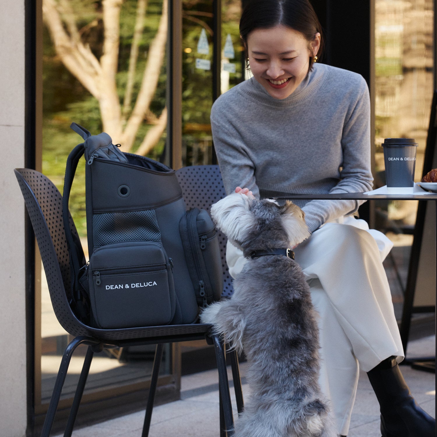DEAN ＆ DELUCA ｜ CITY DOG バッグパックキャリー – CITYDOG