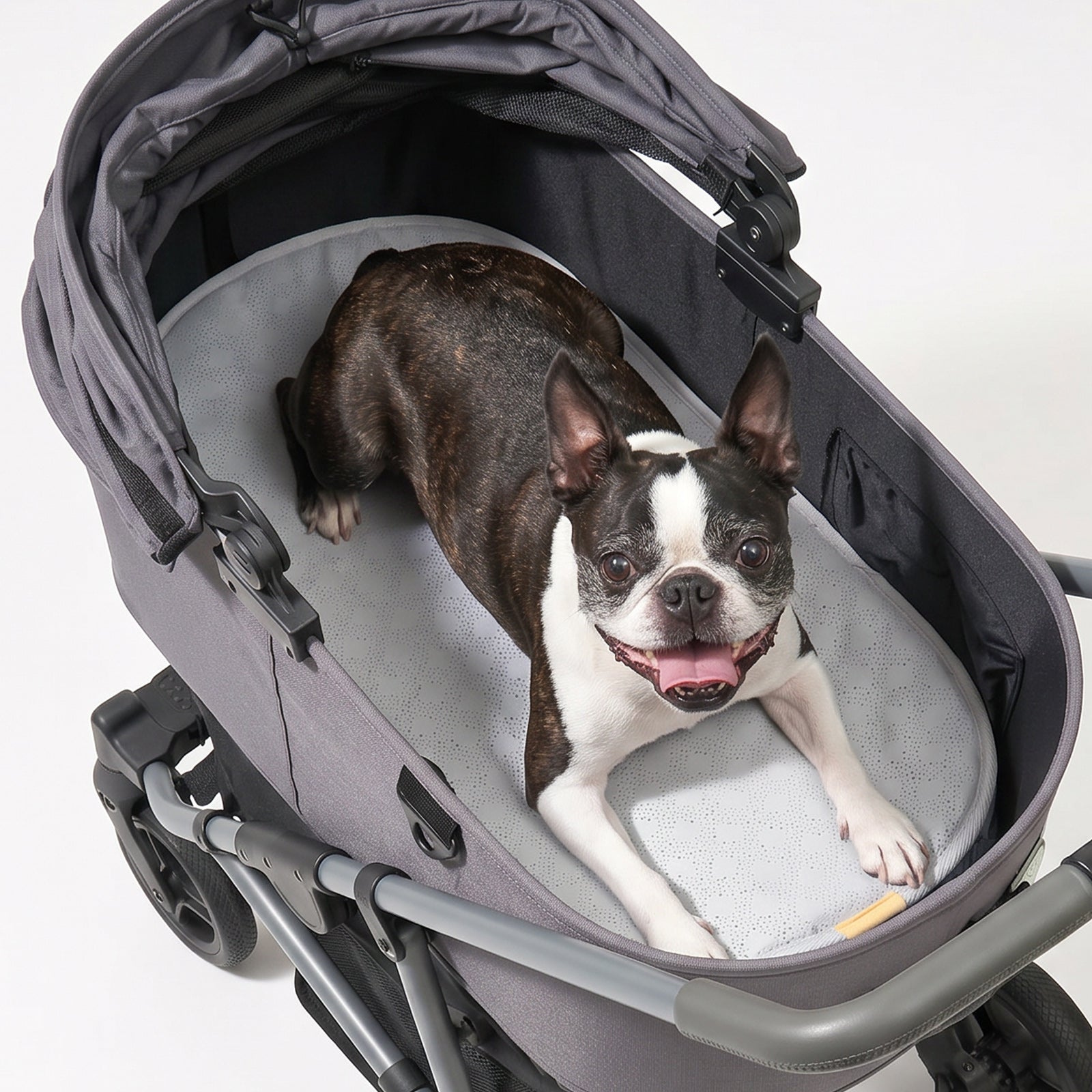 犬用 カート ドッグバギー CITYDOG(シティドッグ) AIRBUGGY AIRMON PET