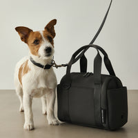 【 DEAN ＆ DELUCA ｜ CITY DOG 】ストロールボストン