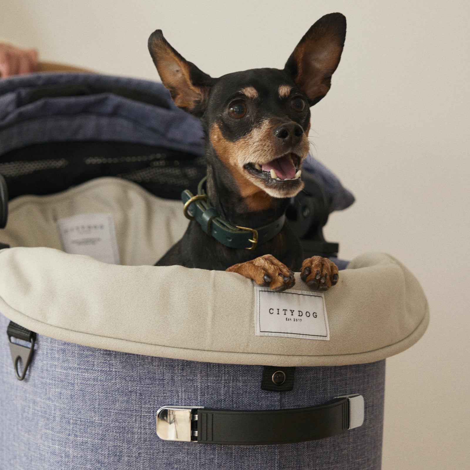 犬用 カート ドッグバギー CITYDOG(シティドッグ) DOG BUGGY COMFORT 5SET