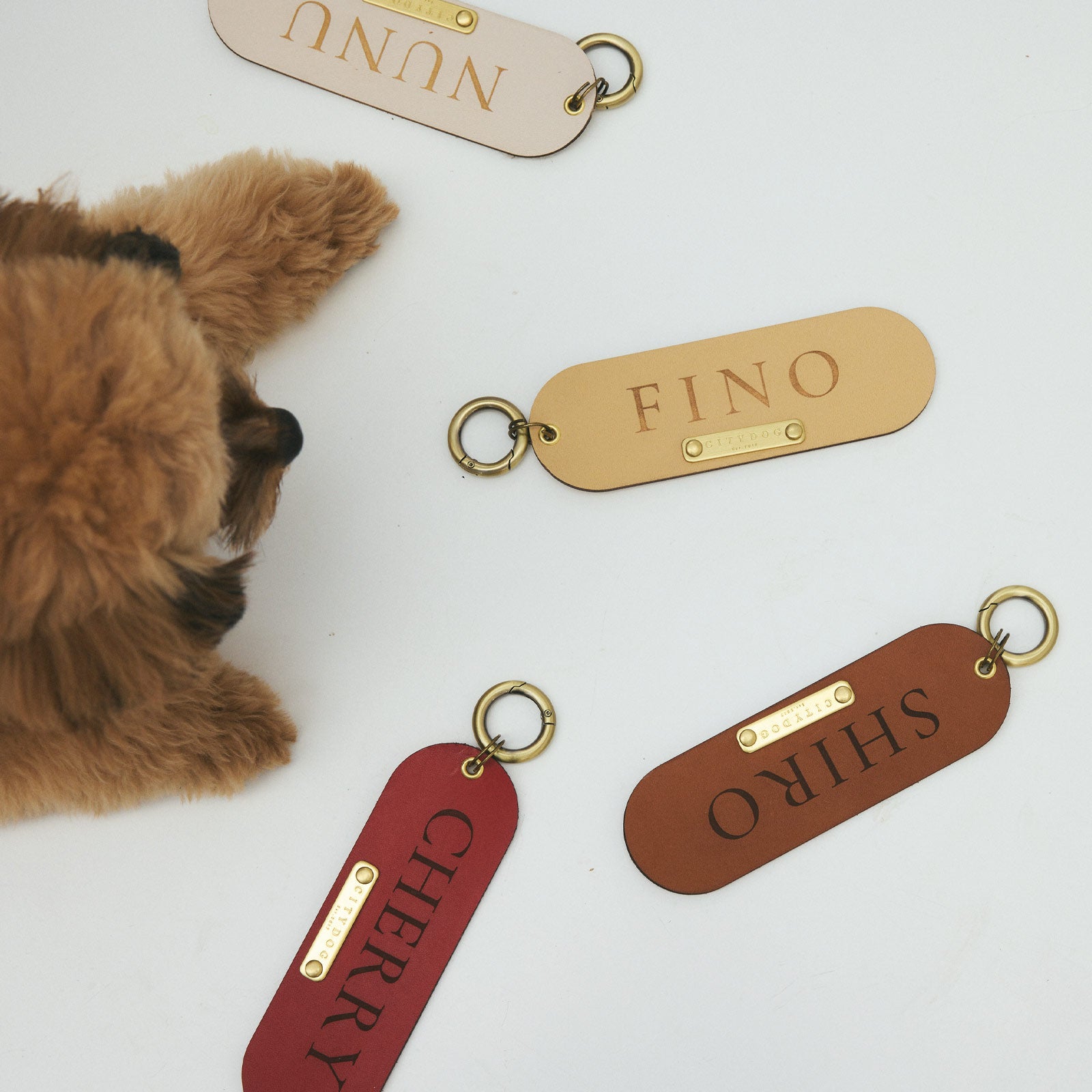 犬用ネームタグ 迷子札 CITYDOG(シティドッグ) LEATHER NAME TAG