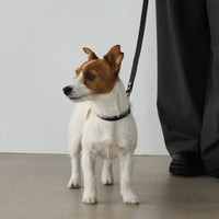 【 DEAN ＆ DELUCA ｜ CITY DOG 】レザーカラー