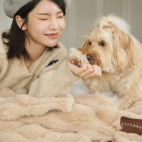 CITYDOGモコブランケット