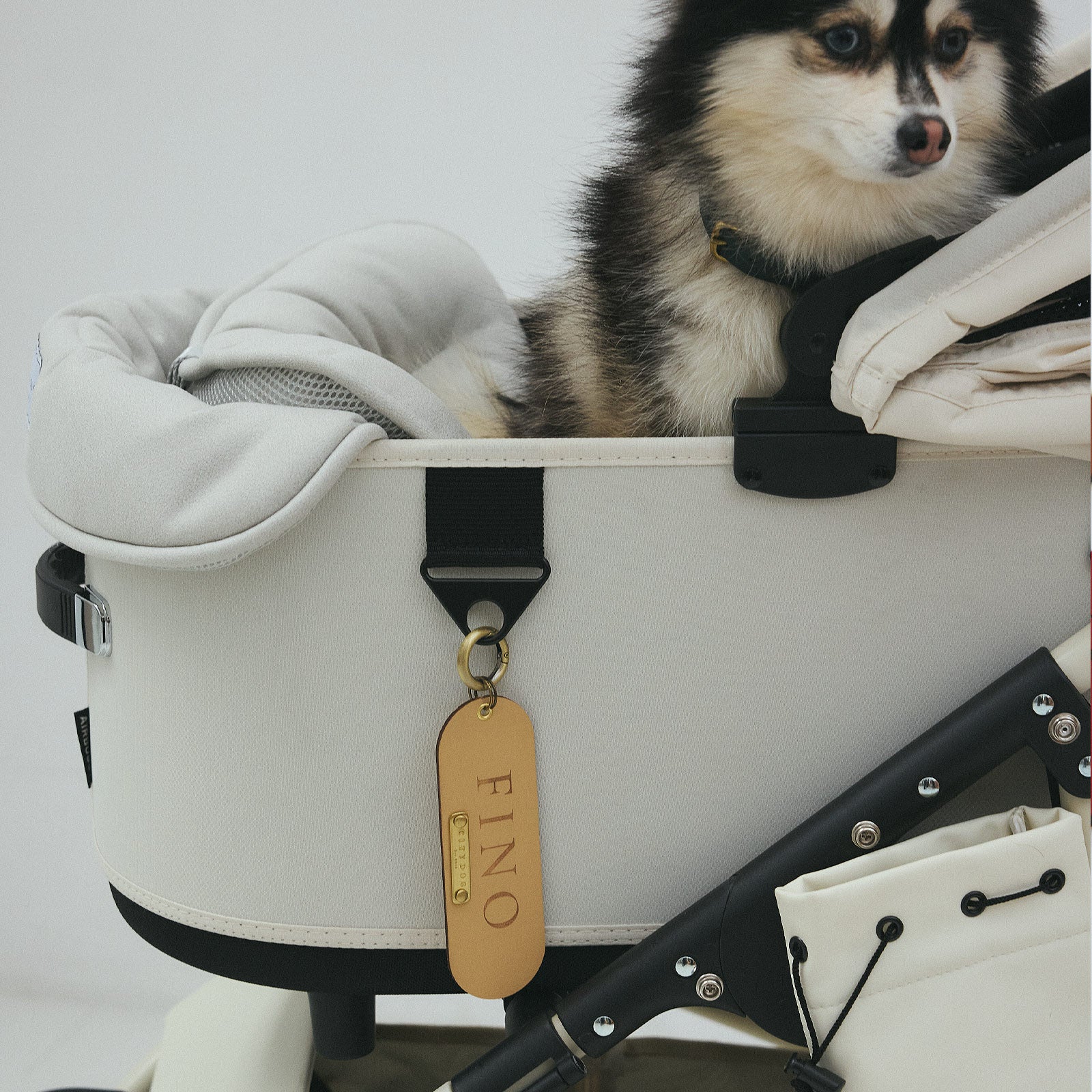 犬用ネームタグ 迷子札 CITYDOG(シティドッグ) LEATHER NAME TAG