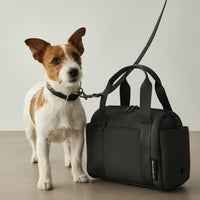 【 DEAN ＆ DELUCA ｜ CITY DOG 】レザーリード