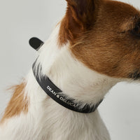 【 DEAN ＆ DELUCA ｜ CITY DOG 】レザーカラー