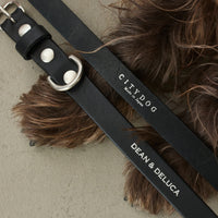 【 DEAN ＆ DELUCA ｜ CITY DOG 】レザーリード