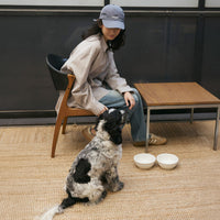 CITYDOGフードボウル