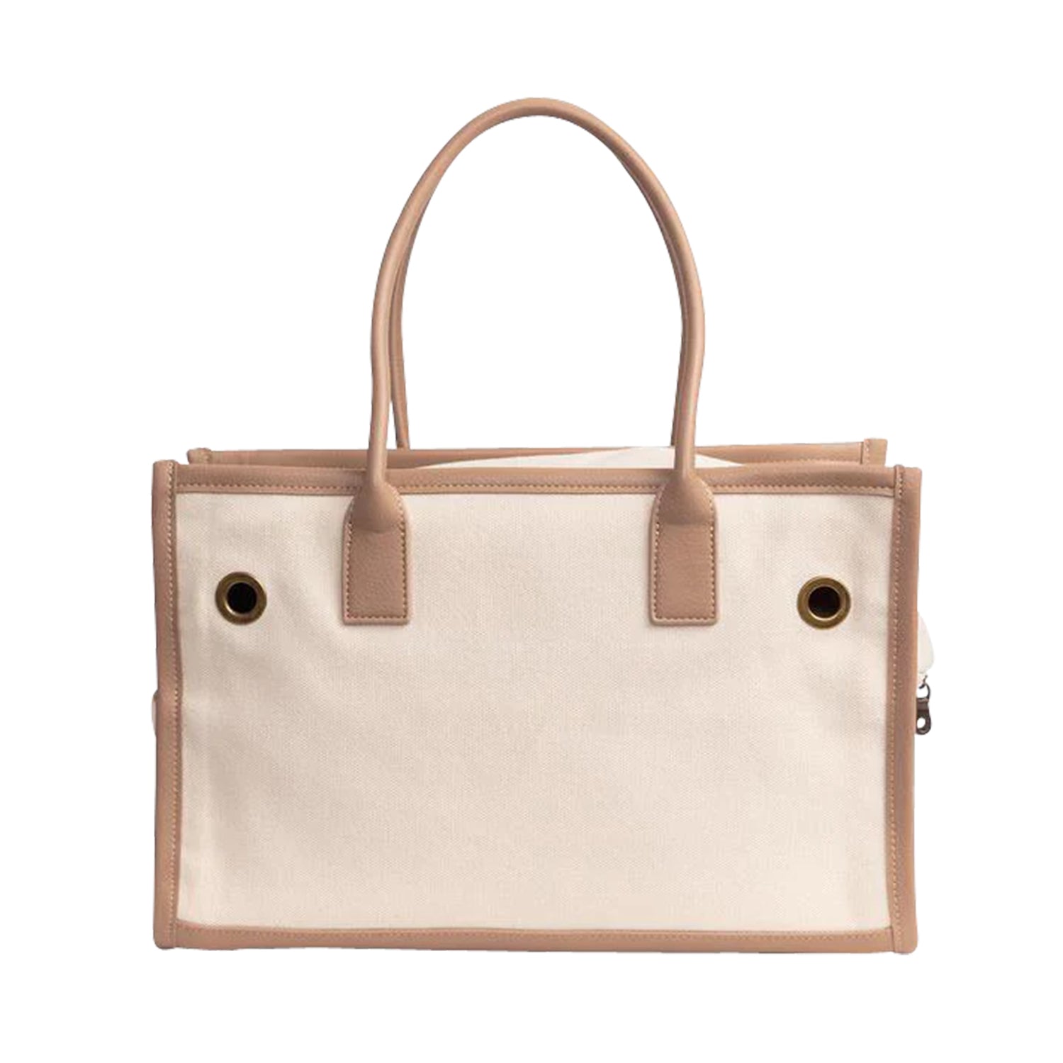 CARRY - Novelty キャンペーン – CITYDOG