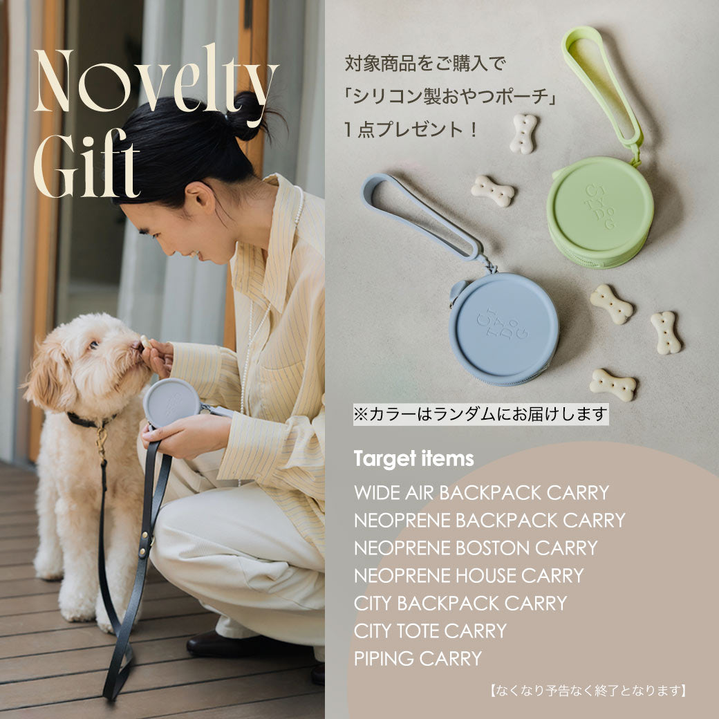 犬用キャリーケース キャリーバッグ CITYDOG(シティドッグ) PIPING