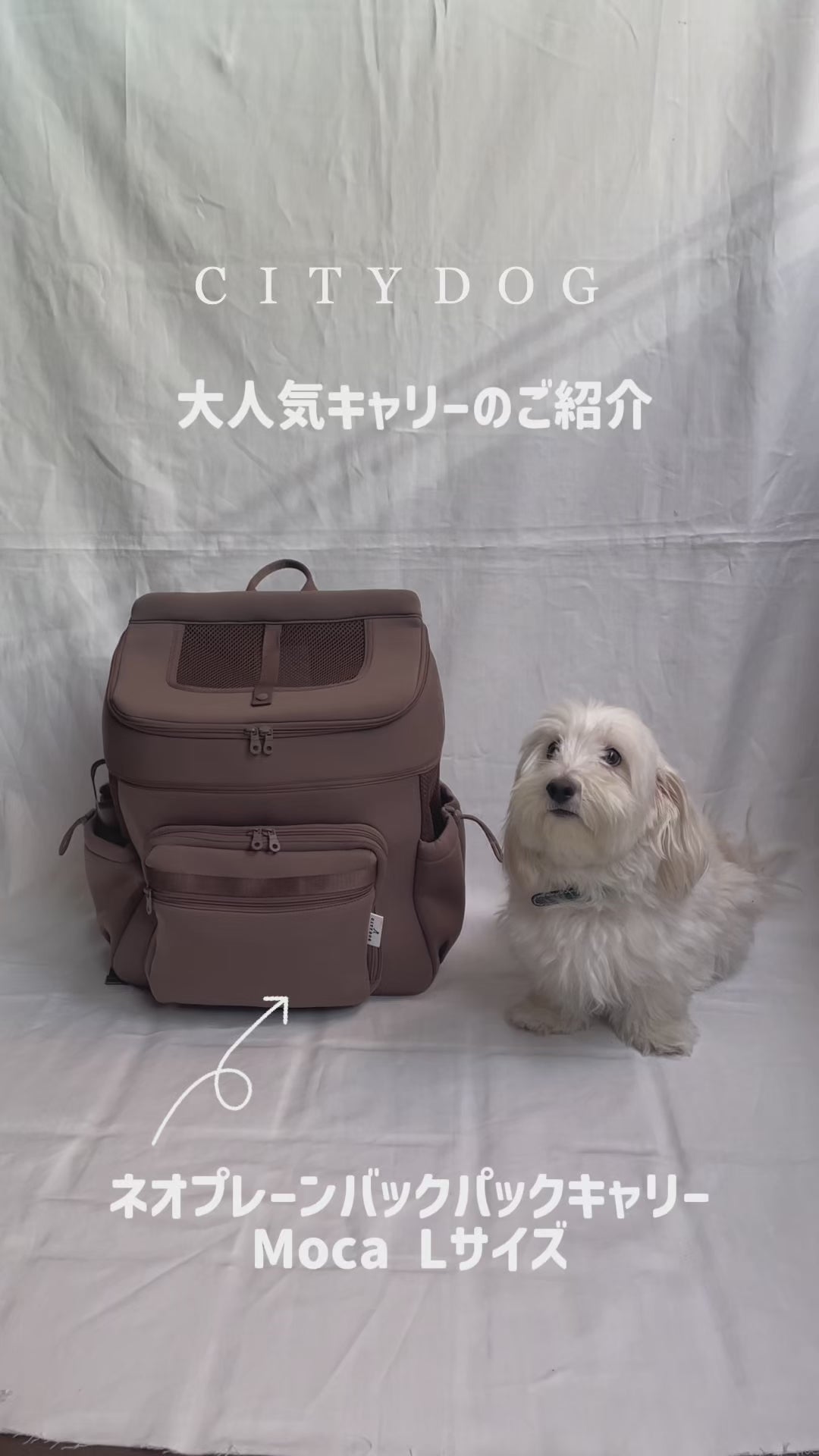 犬用 ネオプレーンバックパックキャリー CITYDOG(シティドッグ
