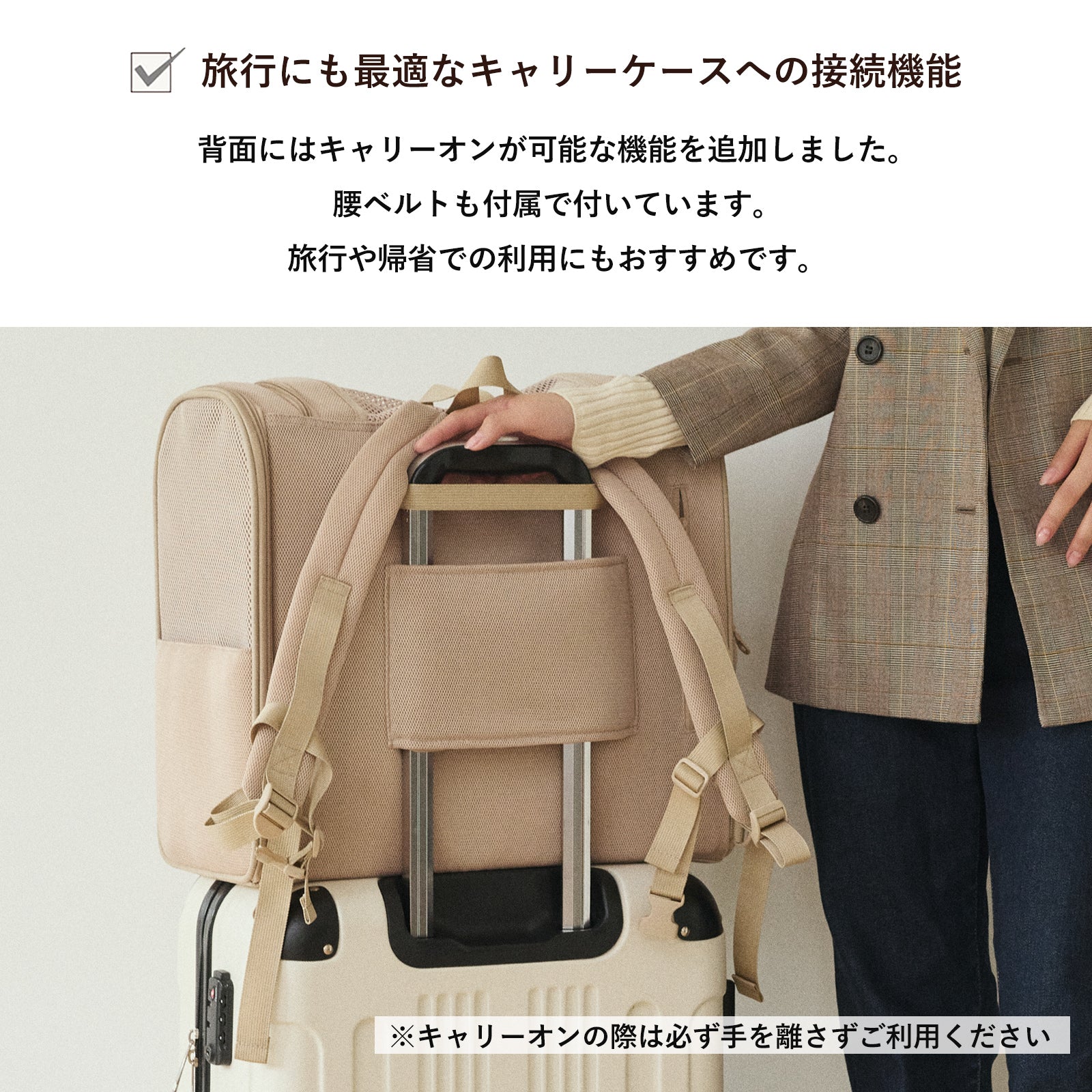 犬用 バックパックキャリー CITYDOG(シティドッグ) WIDE AIR BACKPACK