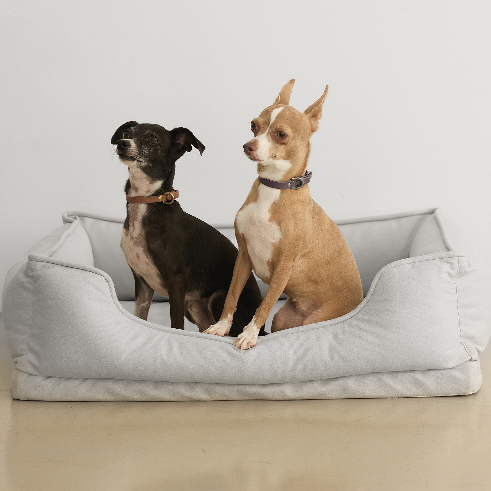 【在庫セール】[citydog/シティドッグ] ラウンジベッド ｜ 犬 猫 ベッ 犬用 ベッド CITYDOG(シティドッグ) LOUNGE BED