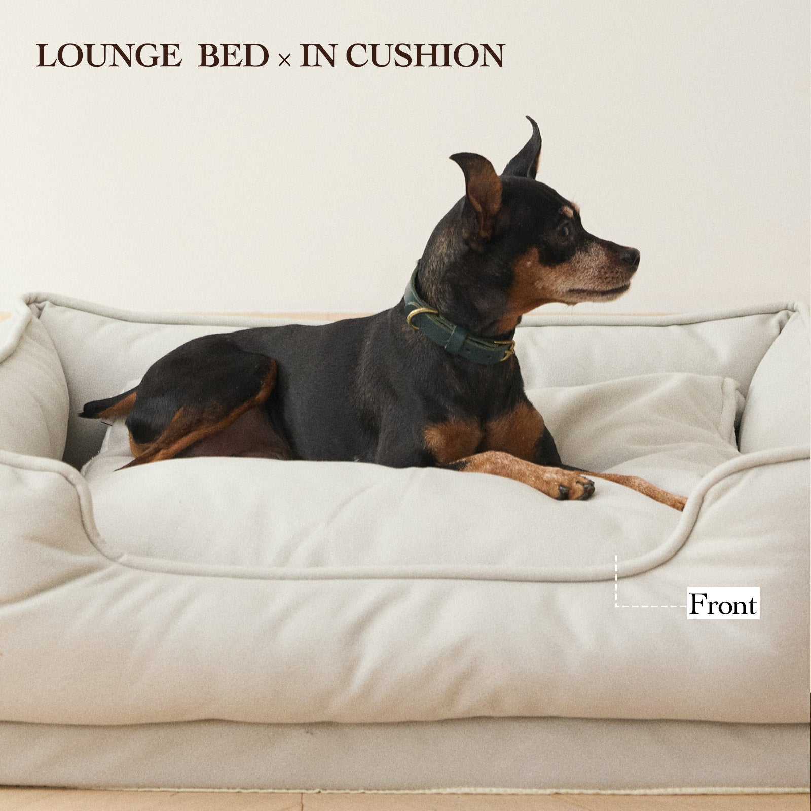 犬用 ベッド CITYDOG(シティドッグ) LOUNGE CUSSHION