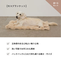 ワイドエアーバックパックキャリー