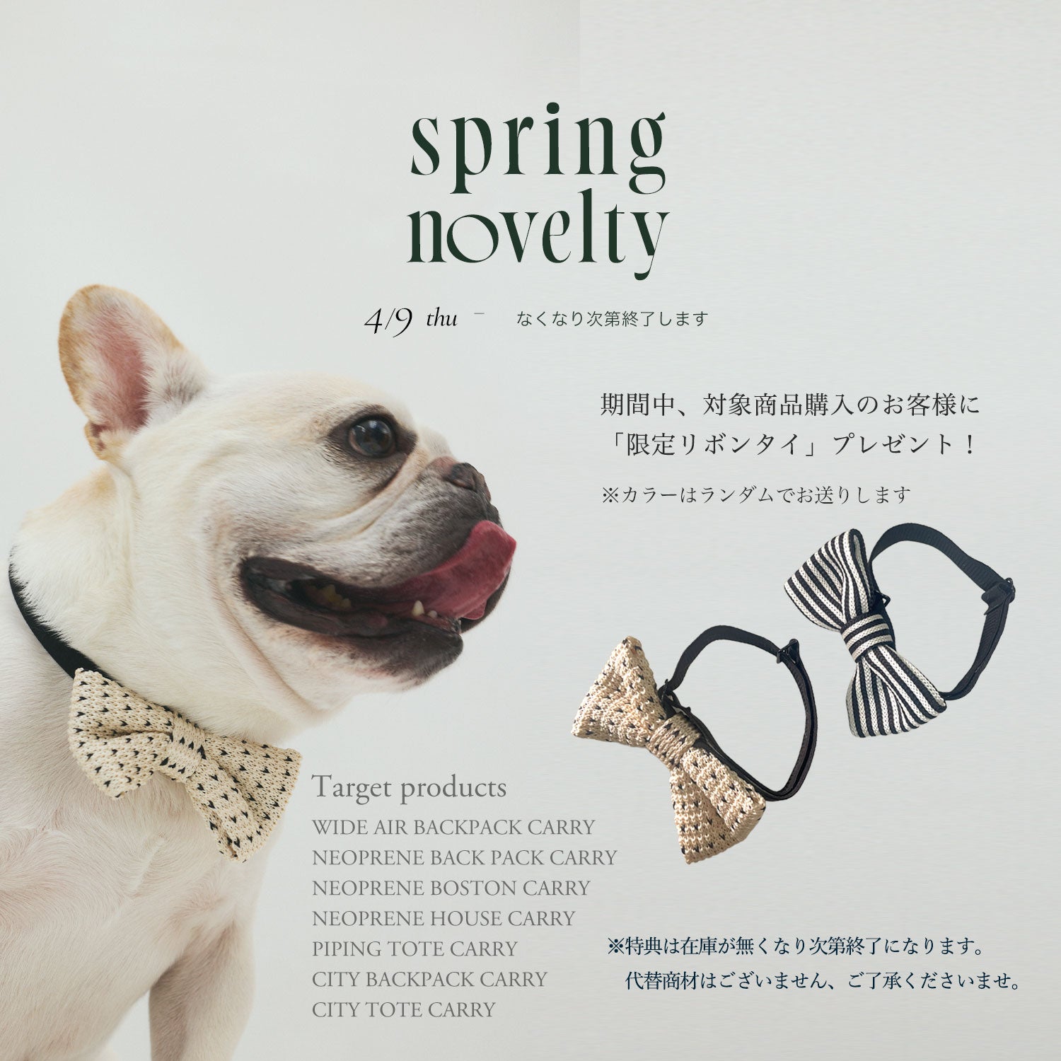 CITY DOG 犬用バッグ　ペットリュック　M オリーブ　 CITYDOG（シティドッグ） 犬 リュック ペットキャリー キャリーバッグ