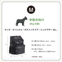 シティバックパックキャリー