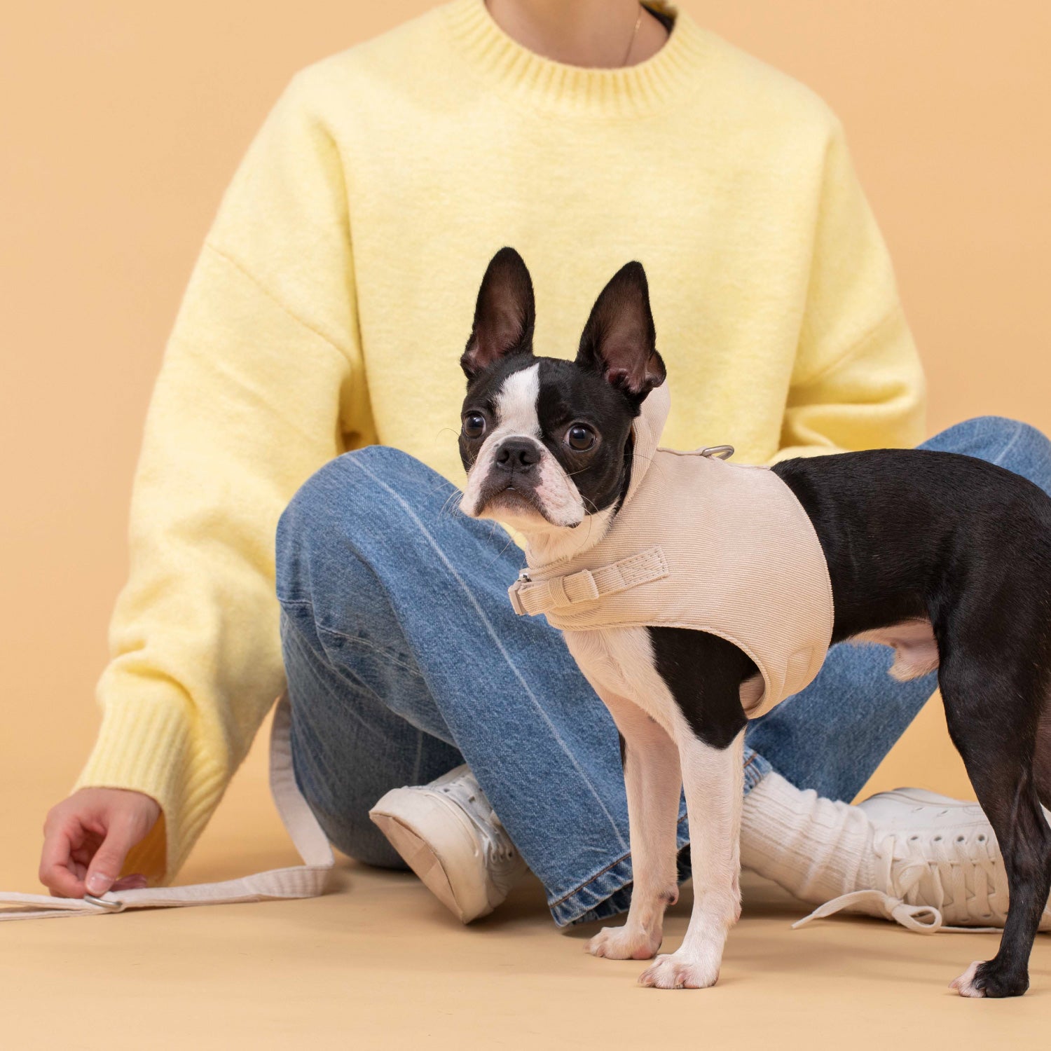 犬用 コーデュロイハーネス&リード CITYDOG(シティドッグ) CORDUROY