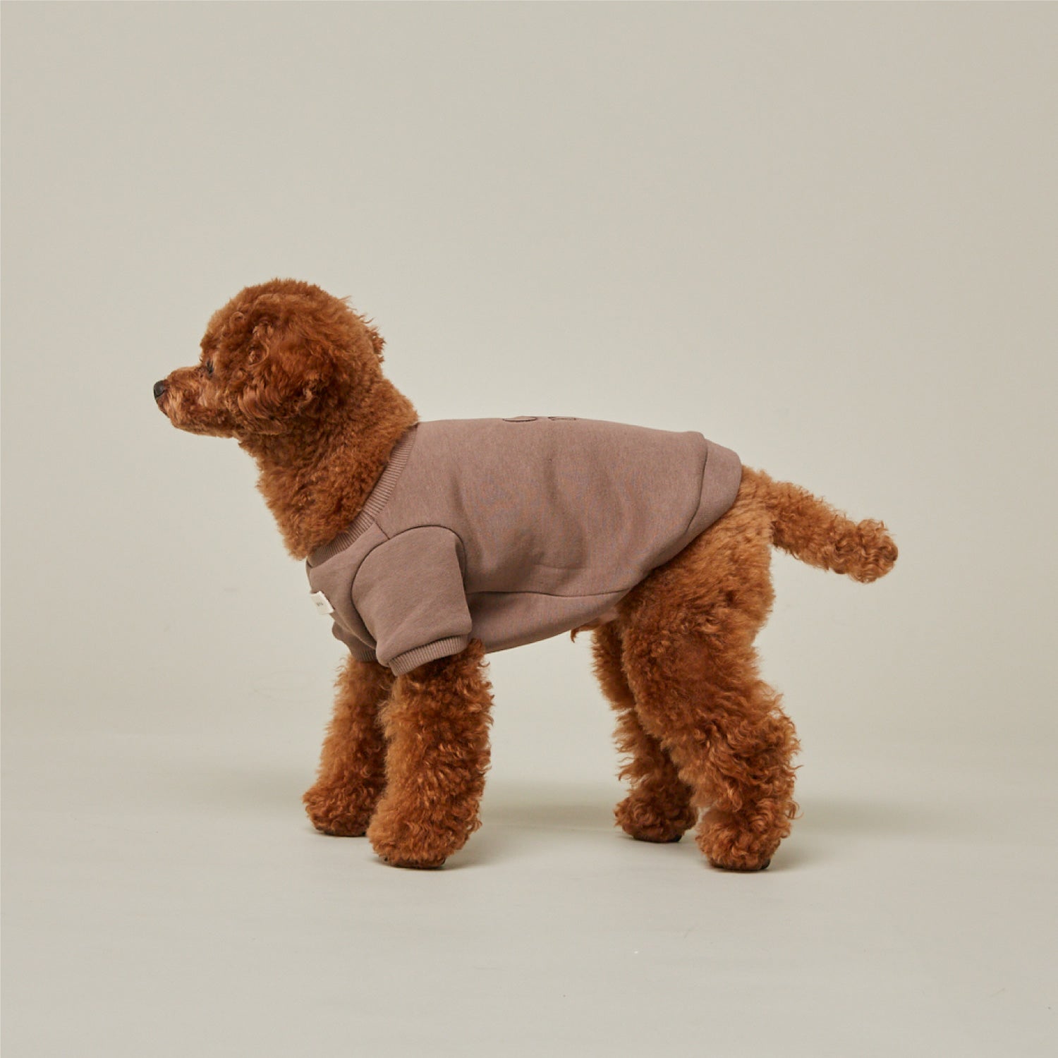 犬の服　トレーナー生地 犬用 ウェア 犬服 スウェットウェア CITYDOG(シティドッグ) CITY SWEAT