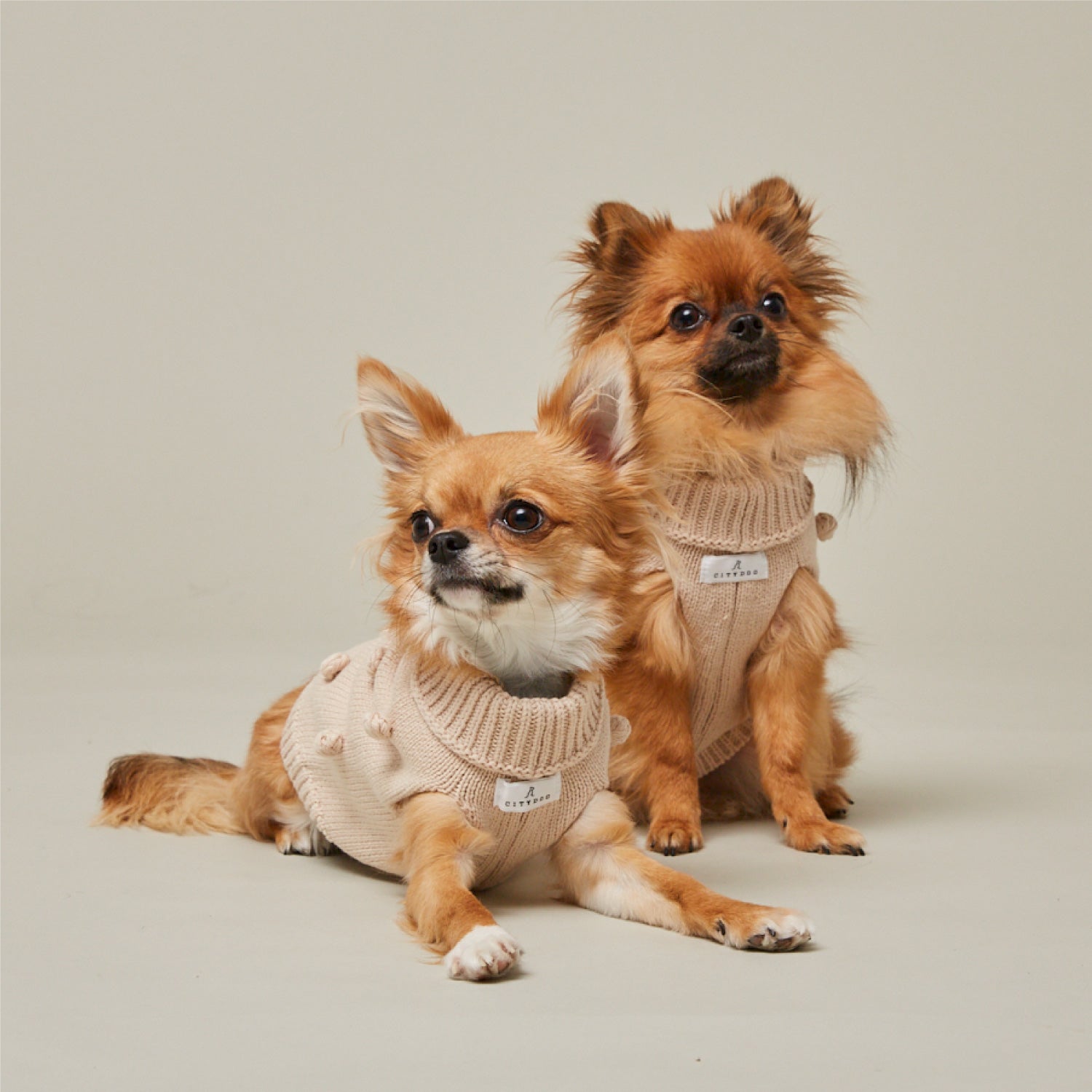 犬用 ウェア 犬服 ポップコーンニット CITYDOG(シティドッグ) POPCORN KNIT