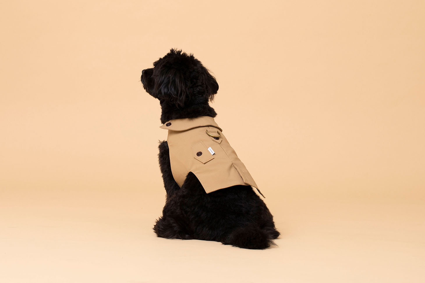 犬用 トレンチハーネス CITYDOG (シティドッグ) TRENCH HARNESS