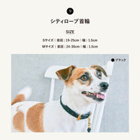 1weekお散歩セット