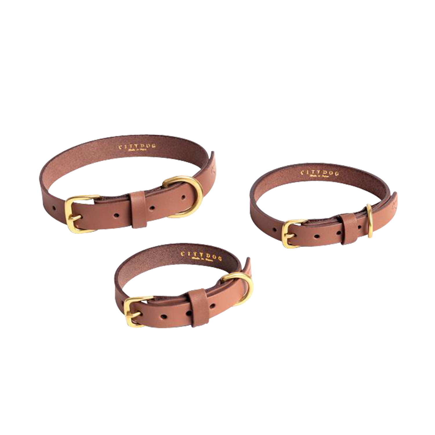 犬用 クラシックレザー 首輪 CITYDOG(シティドッグ) CLASSIC LEATHER