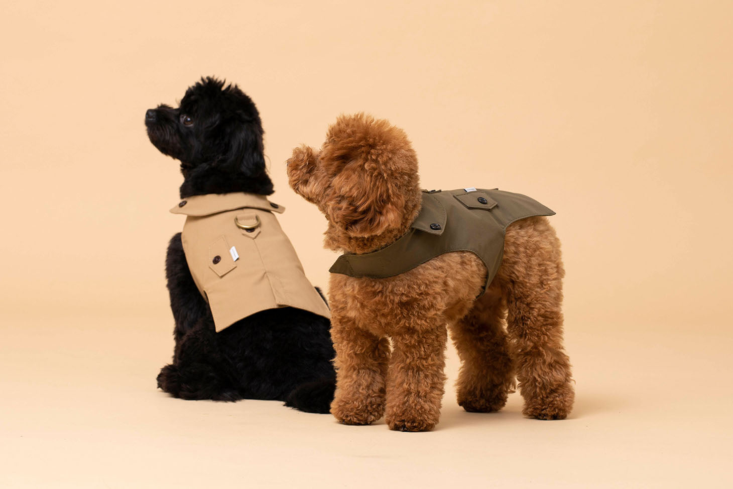 工事中犬アンダーコンストラクションドッグ ゴン太のほねっこ サンライズ 犬用ガム・ローハイド Lサイズ10本