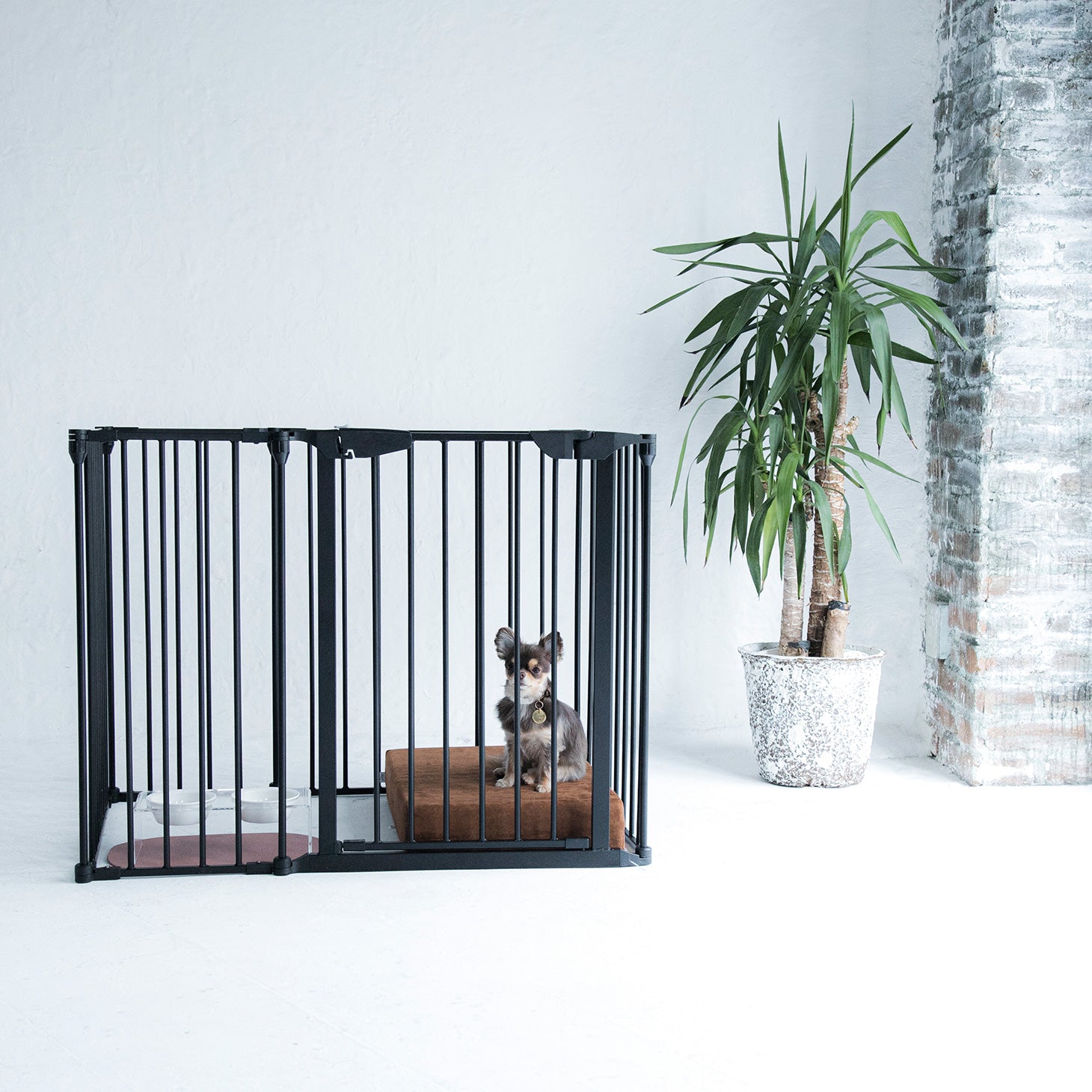 犬用ケージ ゲージ サークル CITYDOG(シティドッグ) SIMPLE MODERN