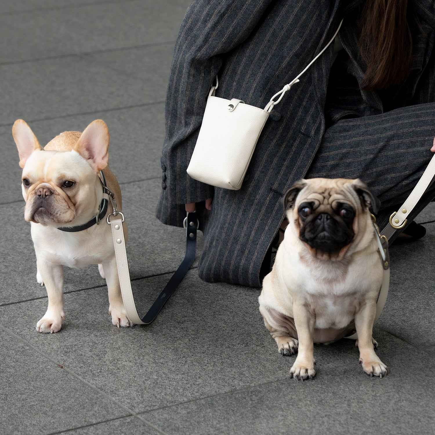 犬用 バイカラー シック リード CITYDOG(シティドッグ) Bi-COLOR CHIC