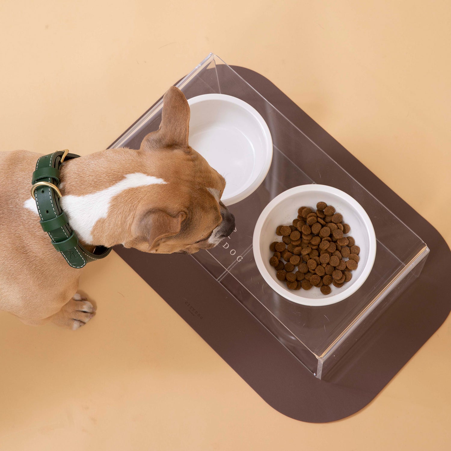 高級食器スタンド 犬用 ペット オーダーメイド 大型犬用 名前彫刻