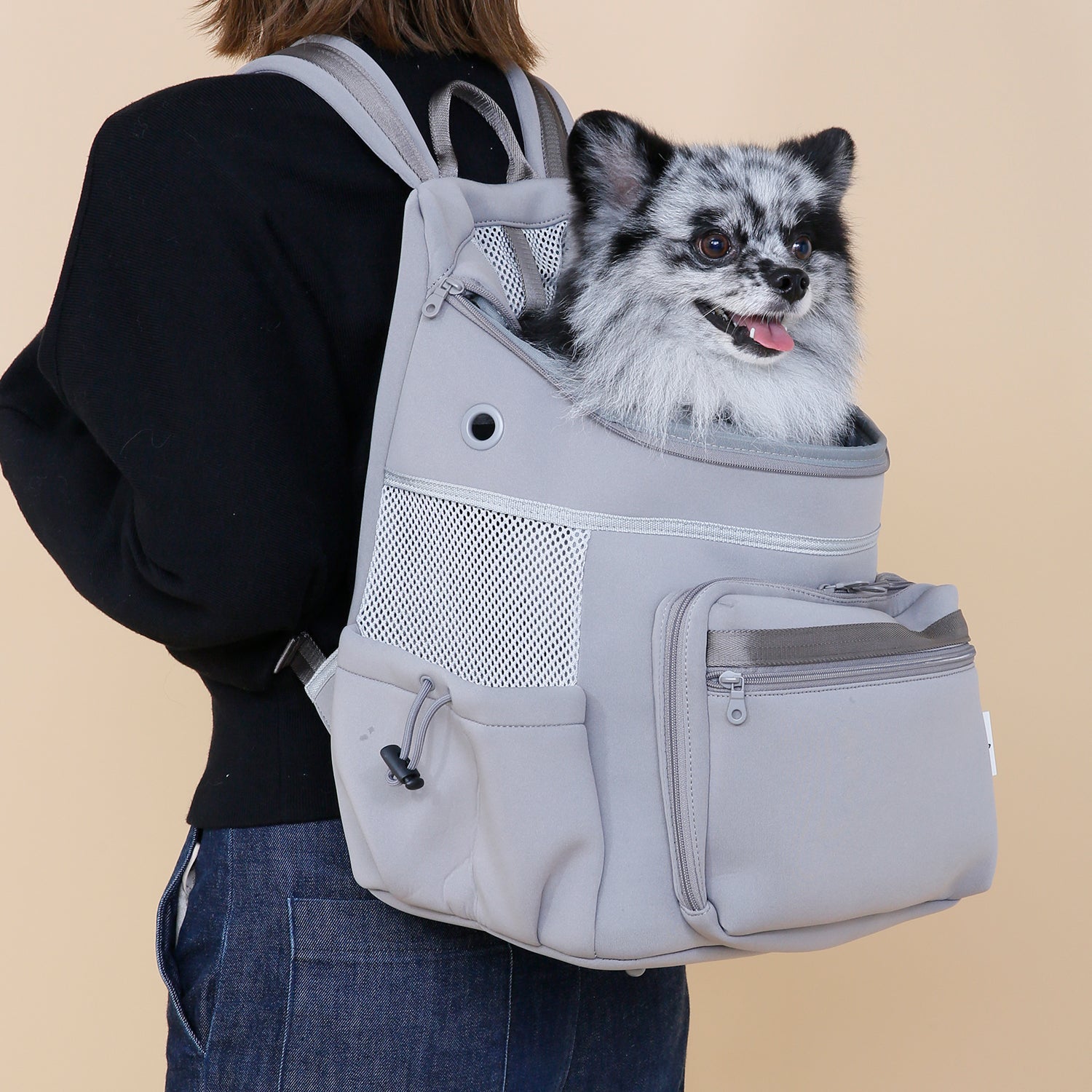 citydog シティバックパック キャリー - 犬用品