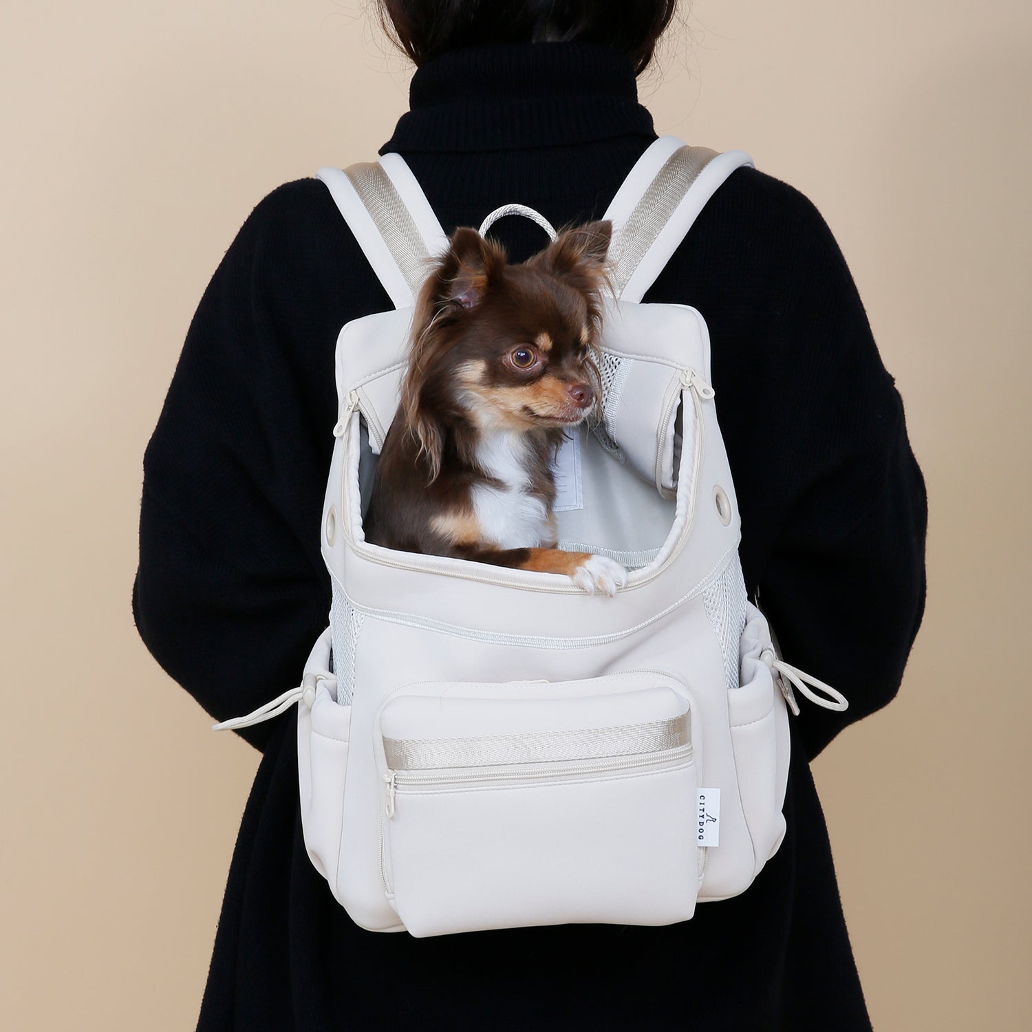 citydog シティバックパック キャリー - 犬用品